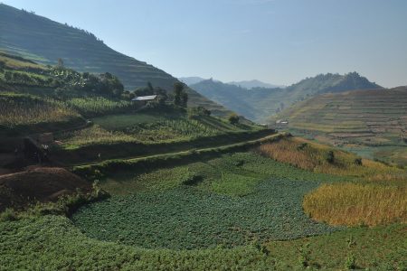 kisoro uganda