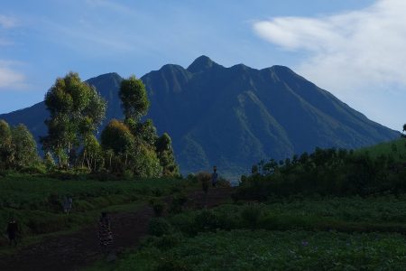 virunga mountains and park